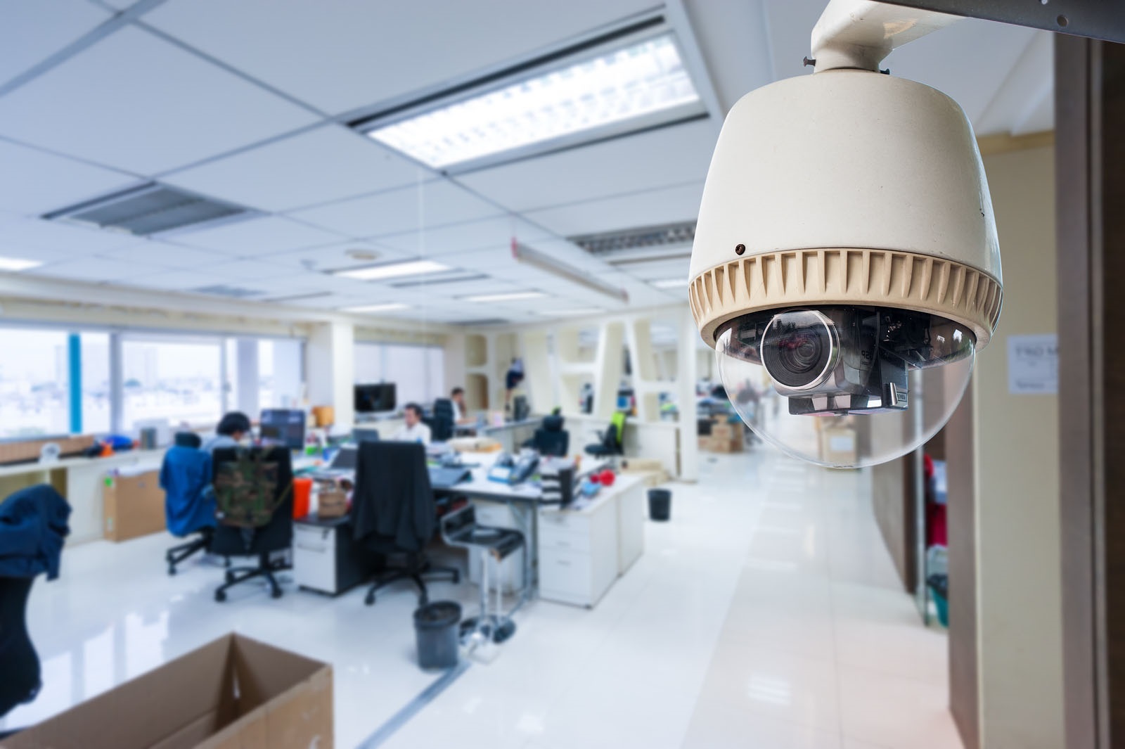 Камера видеонаблюдения в офисе