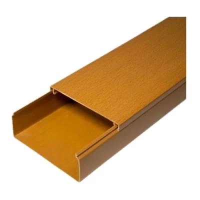 Кабель-канал бук 2-й замок 100х40 мм (24м/уп) (PR.025446)