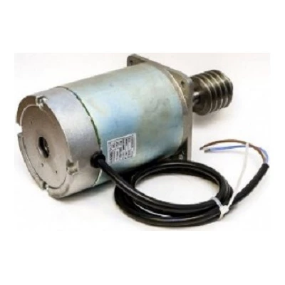 Электродвигатель GARD24 (119RIG047)