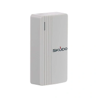 (SK-R-254) SK-RP100E (белый)